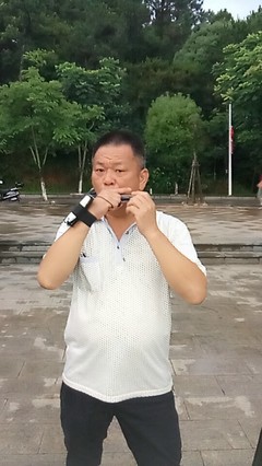 直播口琴拉丝技巧视频,口琴演奏直播需要什么设备