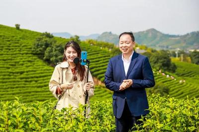 白茶直播销售技巧,白茶直播话术