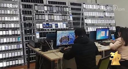 315直播技巧组合展示,315网上直播