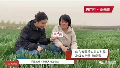 小麦直播的技巧,小麦直播技术