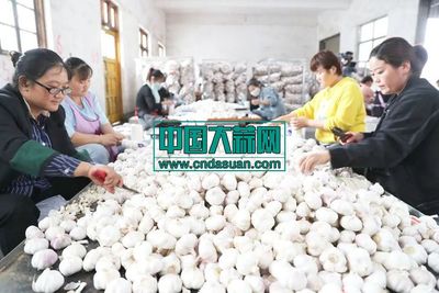 直播卖大蒜方法技巧,直播卖货的技巧套路