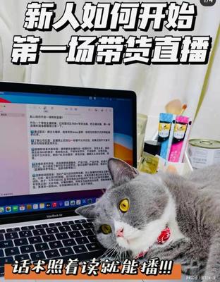 如何做直播话术技巧,如何做直播话术技巧和方法