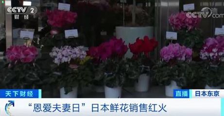花盆直播配货技巧,花盆直播配货技巧与方法