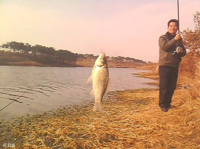 浮漂讲解技巧直播,浮漂怎么钓
