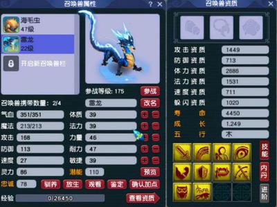 老王直播技巧,老王去哪里直播了