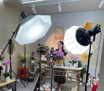 油画直播销售技巧,油画怎么销售