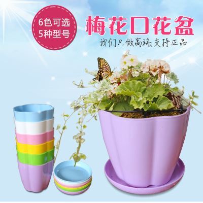 树脂花盆直播技巧,树脂花盆优缺点