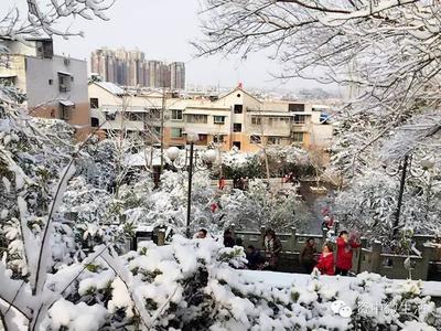 头条直播雪景技巧,头条直播怎么涨人气