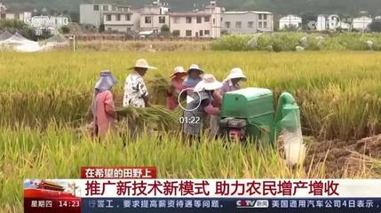 旱地水稻直播技巧,水稻旱田直播技术