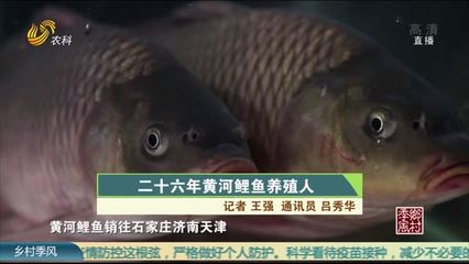 直播讲养殖技巧,养殖主播