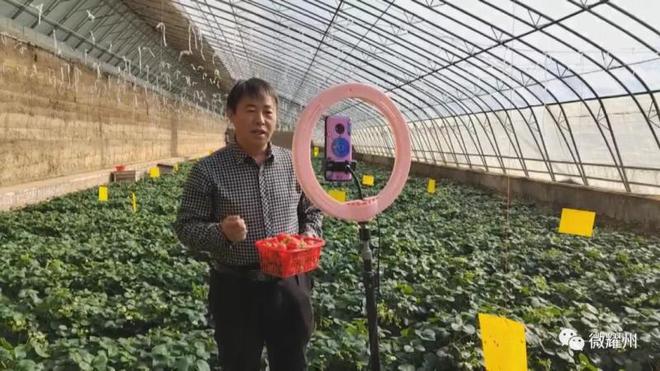 草莓直播技巧组合展示的简单介绍