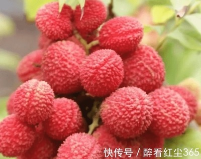 直播吃荔枝技巧,吃播吃荔枝
