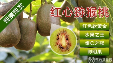 直播文案写作技巧卖货,直播卖货的文案怎么写