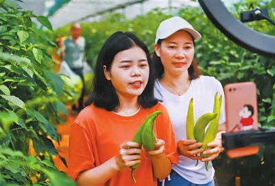 直播产品推销技巧,直播推销方案