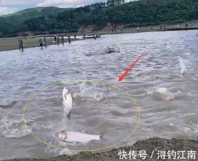 水库直播捞鱼技巧视频,水库打捞鱼的技巧