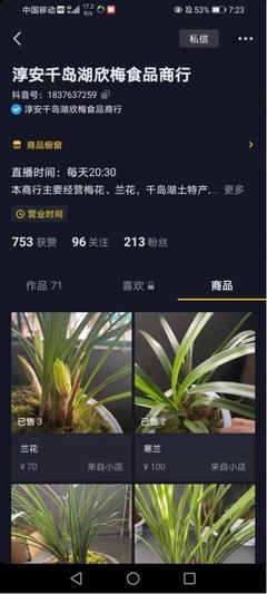 直播苗木起名技巧,直播苗木起名技巧有哪些