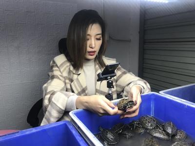 传统养殖直播技巧,传统养殖直播技巧有哪些