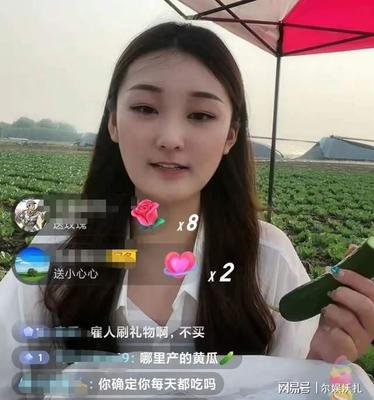黄瓜直播技巧无货源,黄瓜直播怎么种