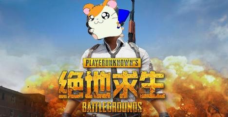 仓鼠直播技巧,仓鼠直播技巧教程