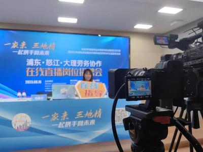 劳务行业直播技巧,直播劳务合同