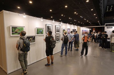 直播展馆拍照技巧,直播展馆拍照技巧有哪些