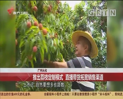 直播卖荔枝技巧,荔枝怎么做主播