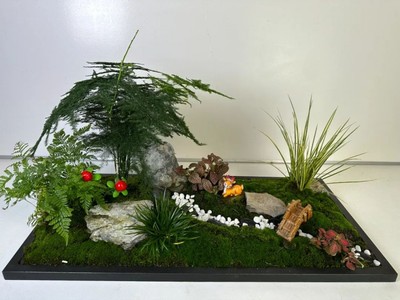 花木新手直播技巧,花木怎么样