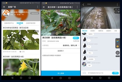 莹石直播说话技巧,莹石云直连模式