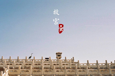 故宫直播技巧视频回放,故宫直播在哪里可以看到