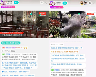 小羊直播抽奖技巧,小羊羊怎么买