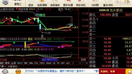 股票直播标题技巧,股票直播标题技巧和方法