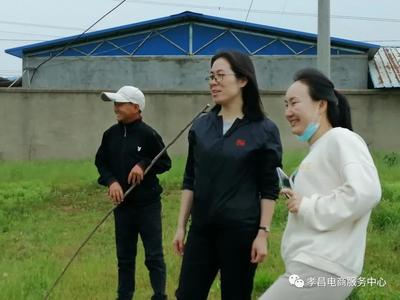 养羊技巧教学直播,养羊技巧教学直播视频