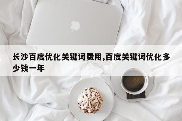 长沙百度优化关键词费用,百度关键词优化多少钱一年