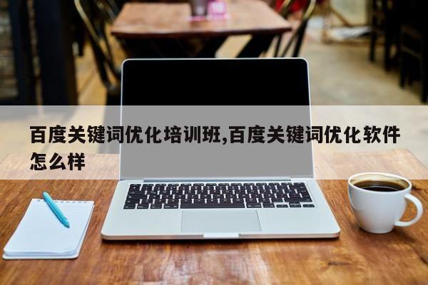 百度关键词优化培训班,百度关键词优化软件怎么样