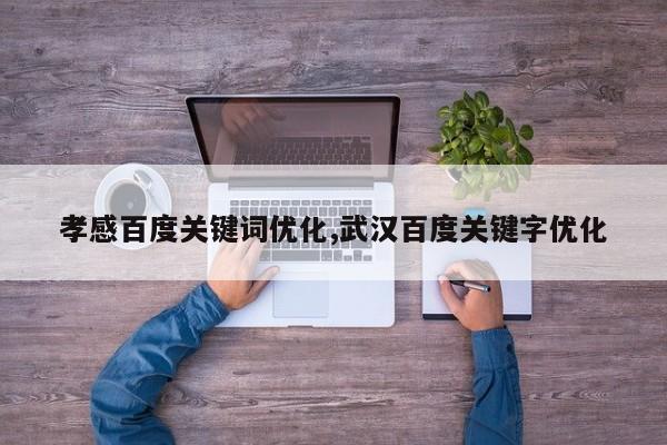 孝感百度关键词优化,武汉百度关键字优化