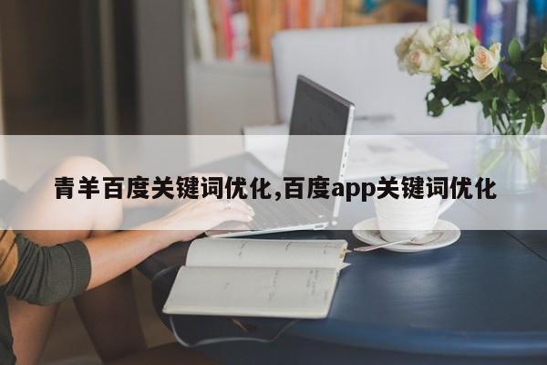 青羊百度关键词优化,百度app关键词优化