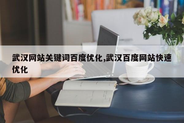 武汉网站关键词百度优化,武汉百度网站快速优化