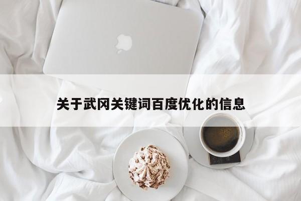 关于武冈关键词百度优化的信息