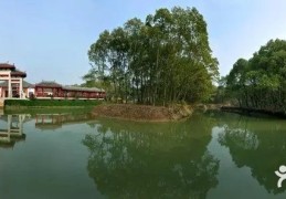 吴江桃源直播技巧,吴江桃源话