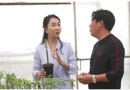 鲜切花直播技巧,鲜花怎么切