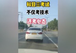 驾考技巧直播同城,驾考直播软件