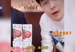 直播卖房带货技巧详解，成功的话术与策略