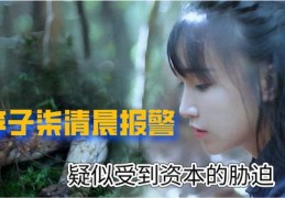 李子柒直播技巧,李子柒直播技巧视频