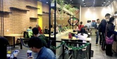 南宁餐饮热门店铺攻略，打造人气爆棚的餐饮店