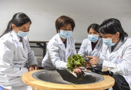 直播茶叶技巧,做茶叶直播怎么讲茶道