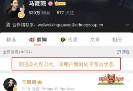 摄影师微博热门攻略，如何巧妙发布内容吸引关注与转发？