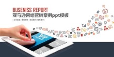 网络营销ppt案例,网络营销成功案例ppt