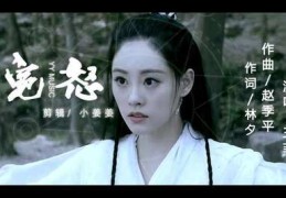 宽恕王菲直播技巧,王菲宽恕歌曲