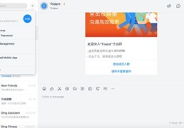 钉钉群直播功能使用指南，实用技巧大揭秘