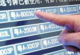 女司机选号技巧视频直播,女司机这个梗